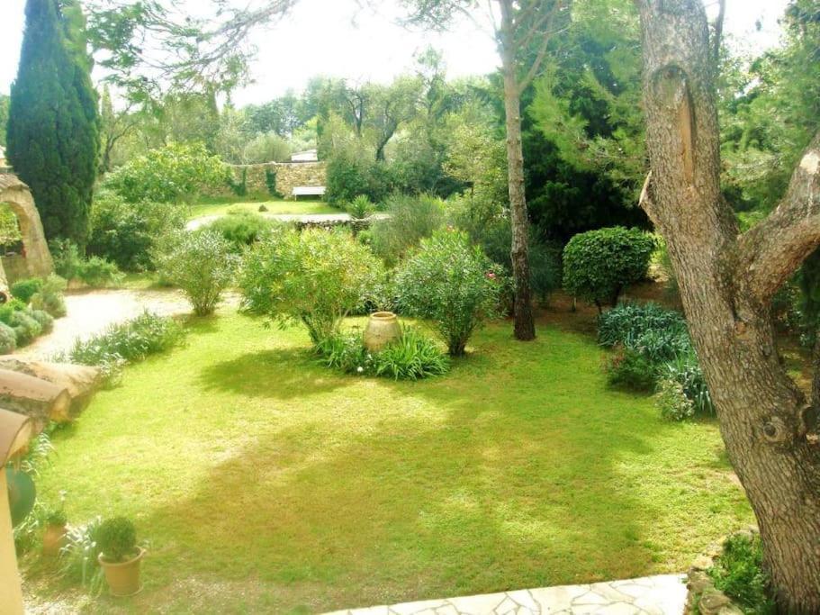 Le Cigaloun Orange (Vaucluse)